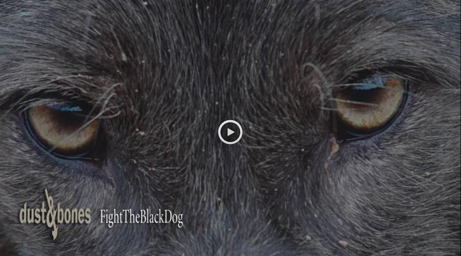 Dust & Bones | Fight The Black Dog (Video)
