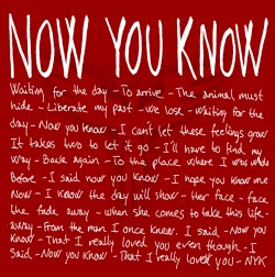 Saint Rebel | Now You Know (Single Cover)