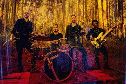 Evon Rose | © Stefan Panfili