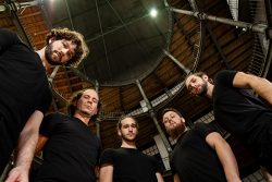 CroworD | © Teresa Novotny