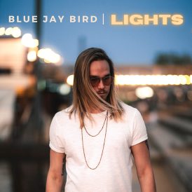 Blue Jay Bird | Lights