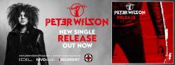 Peter Wilson | Release