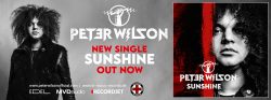 Peter Wilson | Sunshine